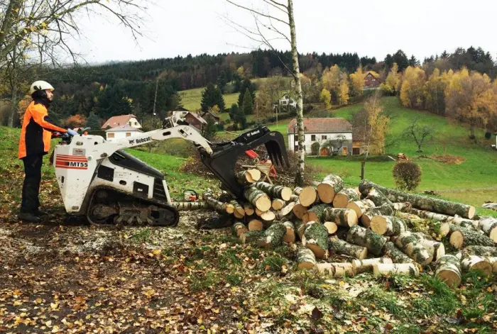 Élagage et abattage d'arbres dans le Bas-Rhin