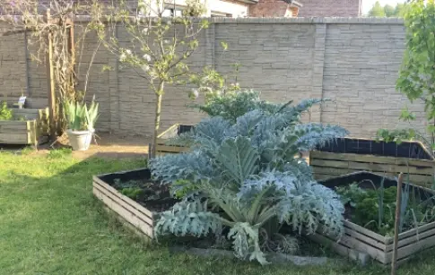 sfRh1kqSXBvZhA7T2kkAiHta3Fj0efDa7YvdlrPY