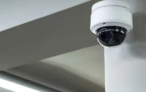 mSQeR7BAFnYdqeXij7Fcrsa1gCvnqEqFtsxga75N