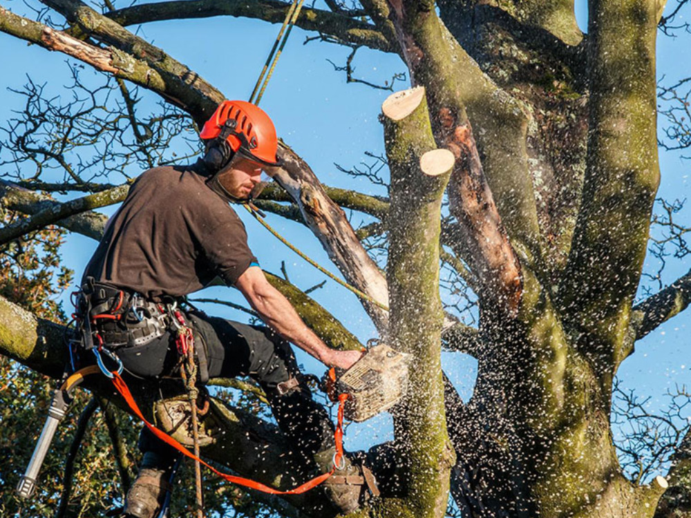 Aménagement paysager proche de Mulhouse et environs
