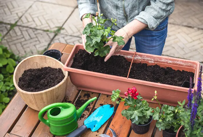 Aménagements extérieurs dans le Territoire de Belfort