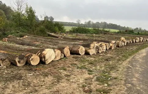 SARL LECLUZE BAPTISTE