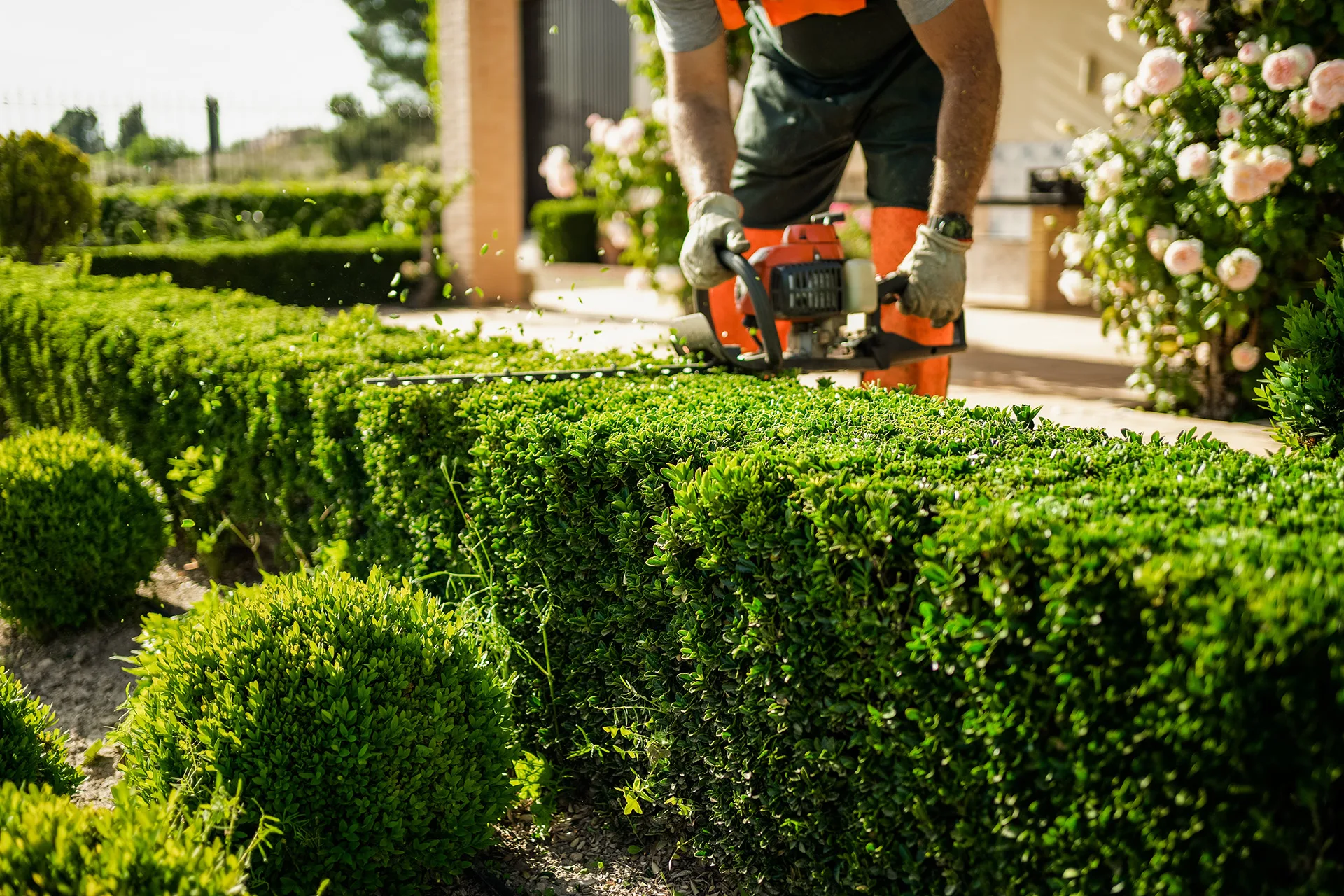 Travaux paysagers et forestiers entre Laon et Soissons