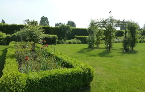 5557_real_6f7830_08cd7fa2d3954dfa8146f8ec07732e64