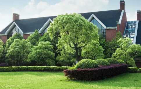 62fb17c9-bca2-450f-bbc9-f619252941ed