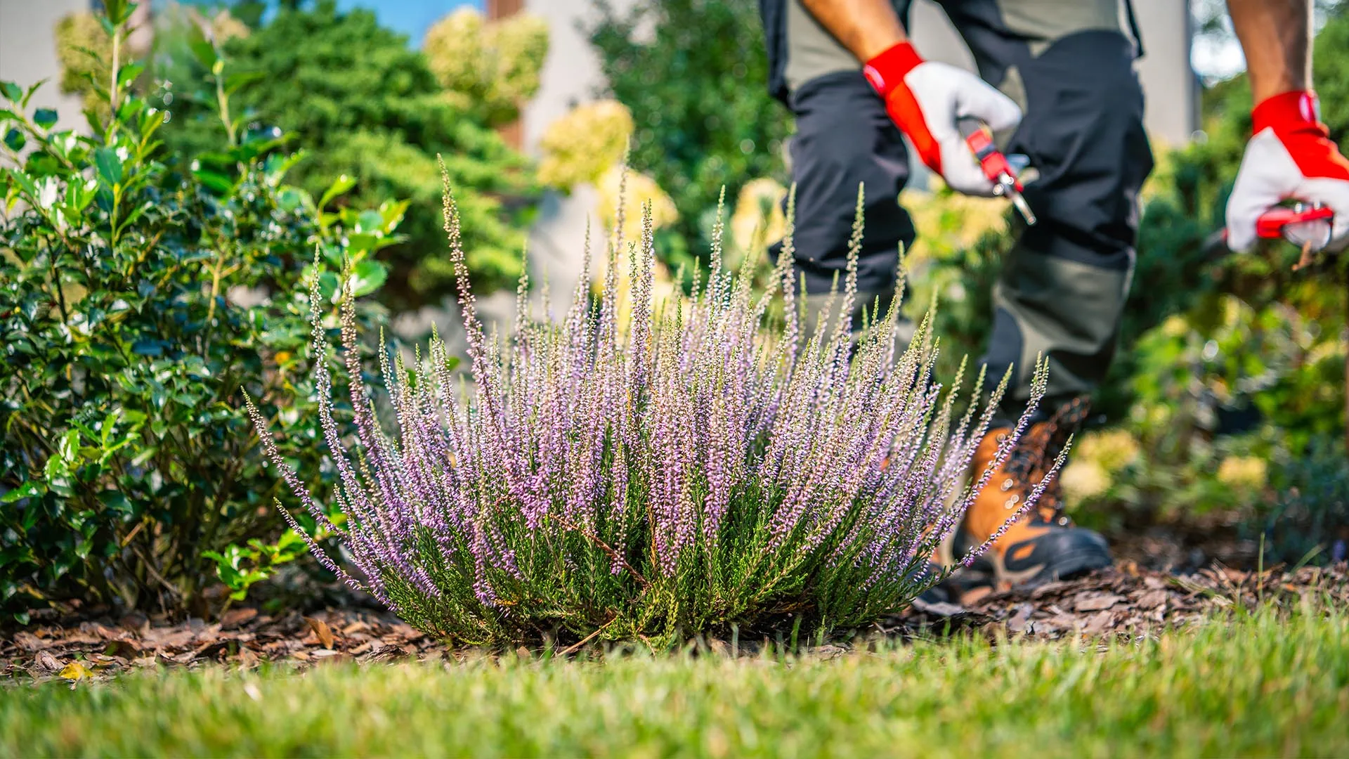 Entretien de jardin dans le Doubs