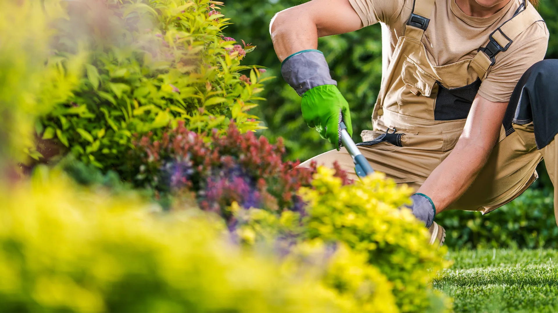 Multiservices pour espaces verts proche de Chartres