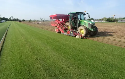 5524_gazonnieres-alsace-galerie-nb2-003_real