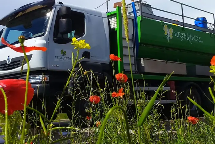 Végétalisation des sols et toitures à Lyon