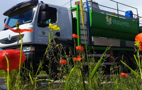 fotzQPa6pktNx9X12bQqrcu6CfFqKnlmLvYdVFjH