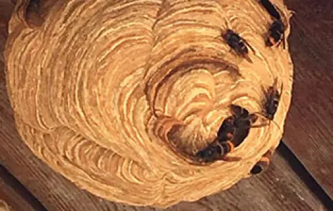 8zv95QCluzqzNcrVDZ74KSCu5fLUto8oEqGdKKLU