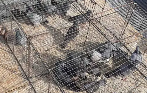 JVfNykkqdojGa0scDCZBIXyAnaV3LUP6XtwhcCyu