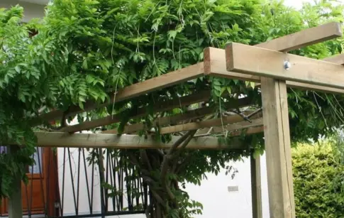 Jean Claude Lefebvre