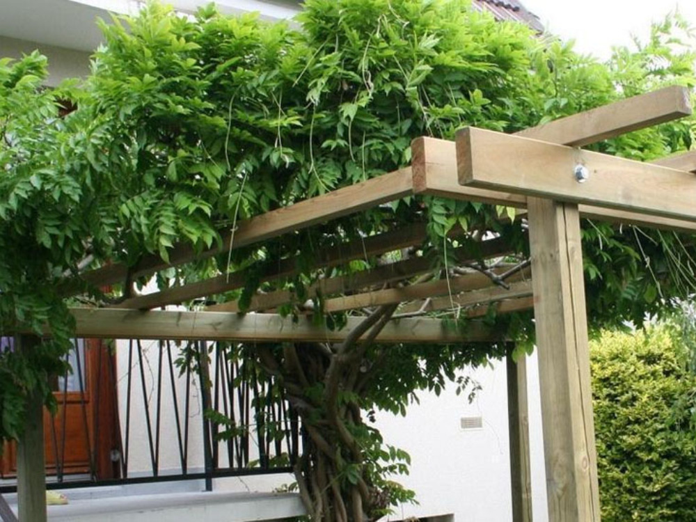 Aménagement paysager à Jouy-le-Moutier et environs