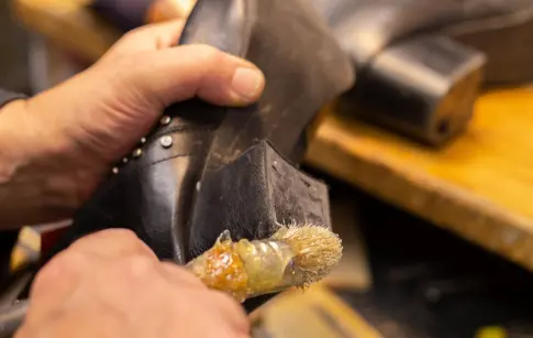 RTnY5zLAXOZe8lZPje2qwVadmu5PJsdOUDD5Vv7Z