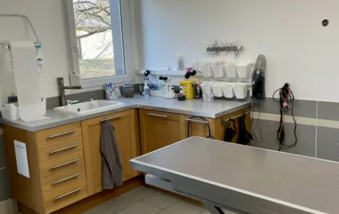 clinique-veterinaire-home-2