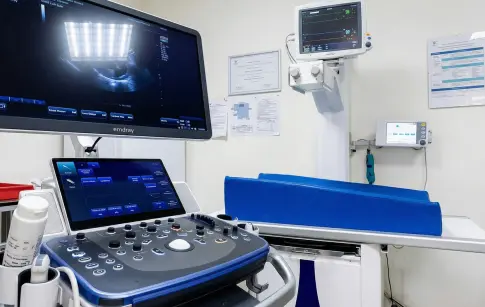 a66443c9-f6c9-40b5-b899-ff01c2381c35