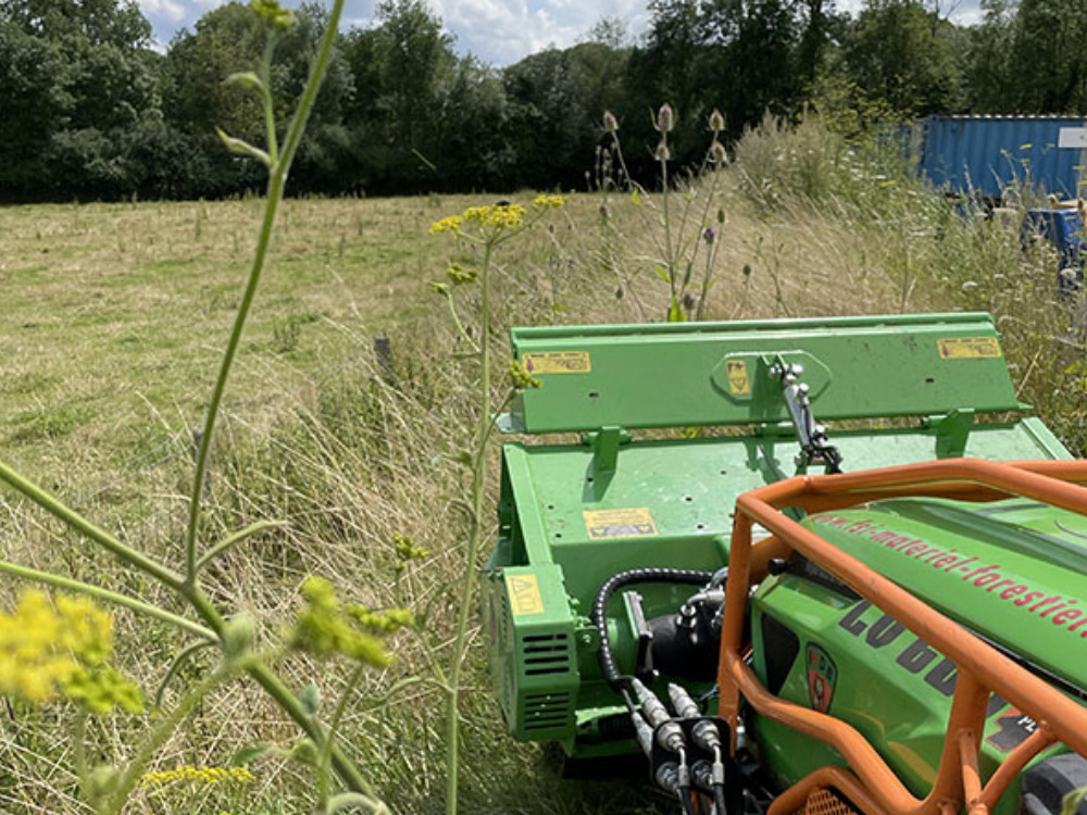 Travaux d'élagage et abattage en Moselle