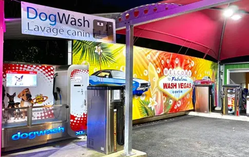 Q9nBssCb9kiRj3swYM6PVrk5lS6jlvs6Jy2UYzMA