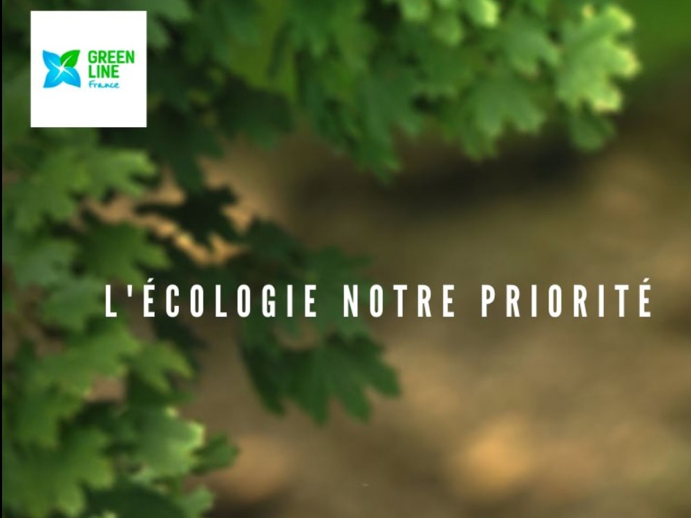 Produits d'entretien écologiques en France et Benelux