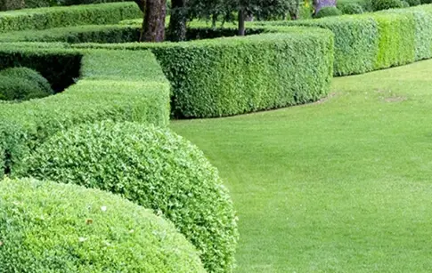 5zPjRBo59ZT6bIsQ5Un2lq9eyufEwcEnpqI6DLhj