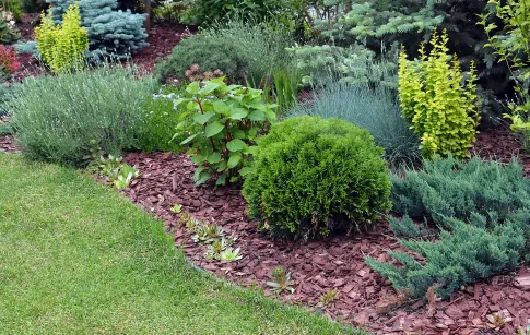 15df61b0-16c6-486d-a718-1c3e14a0c6c5