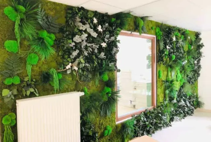 Design végétal innovant en Maine-et-Loire