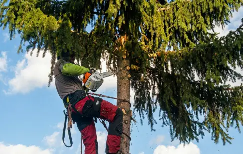 e4dcd927-780a-42c4-bf13-90a76d79dcc8