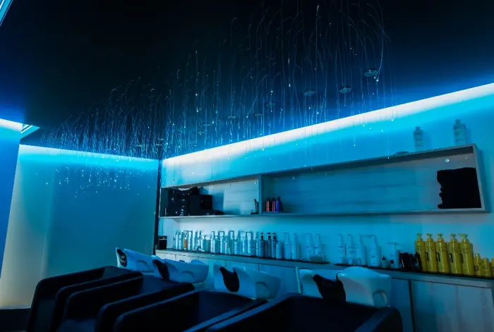 Plâtrier plaquiste expert en Alsace