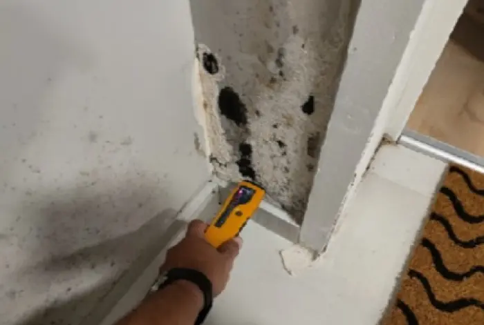 Recherche de fuites d'eau en France