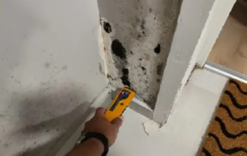 eaudiofuite-presta-02