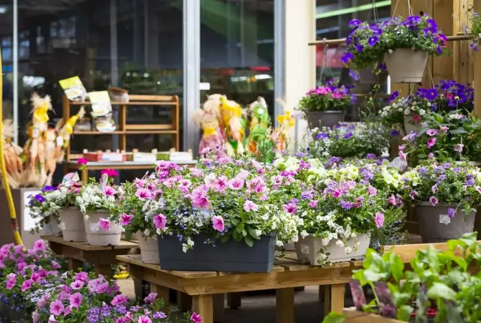 Entreprise Magasins - Commerces Ornans