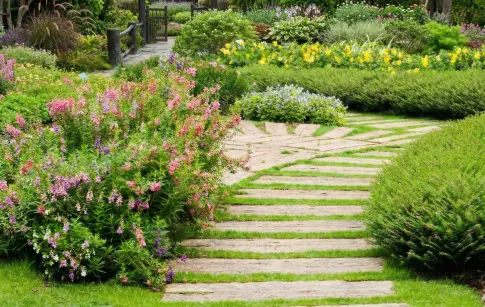 8eddc72b-e365-421a-a1b5-7a6ceffa0284