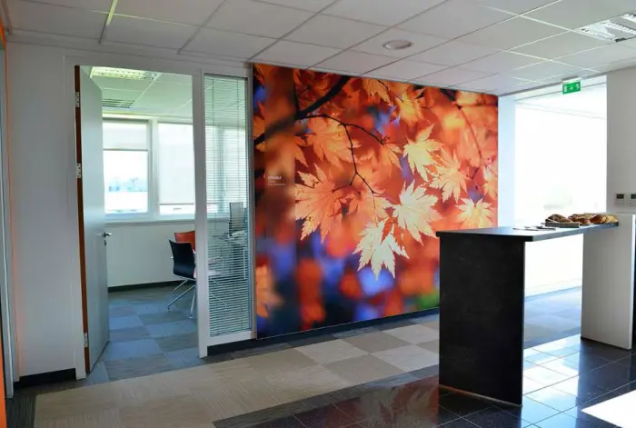 Cabinet d'expertise comptable à Schiltigheim