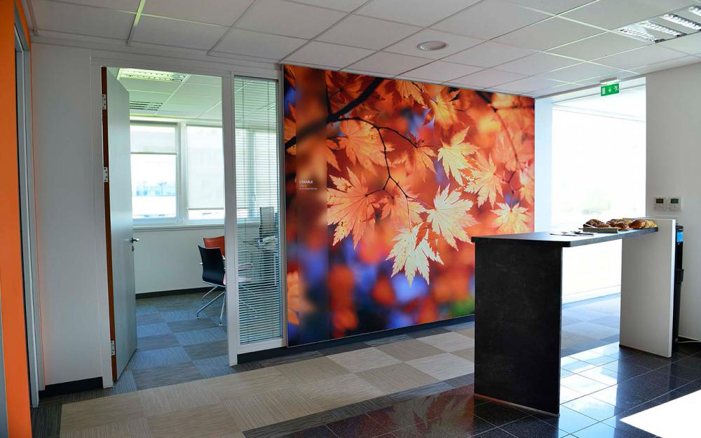 Cabinet d'expertise comptable à Schiltigheim