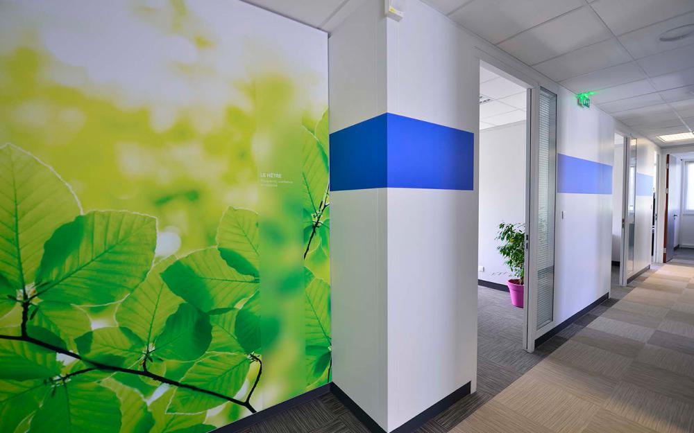 Cabinet d'expertise comptable à Schiltigheim