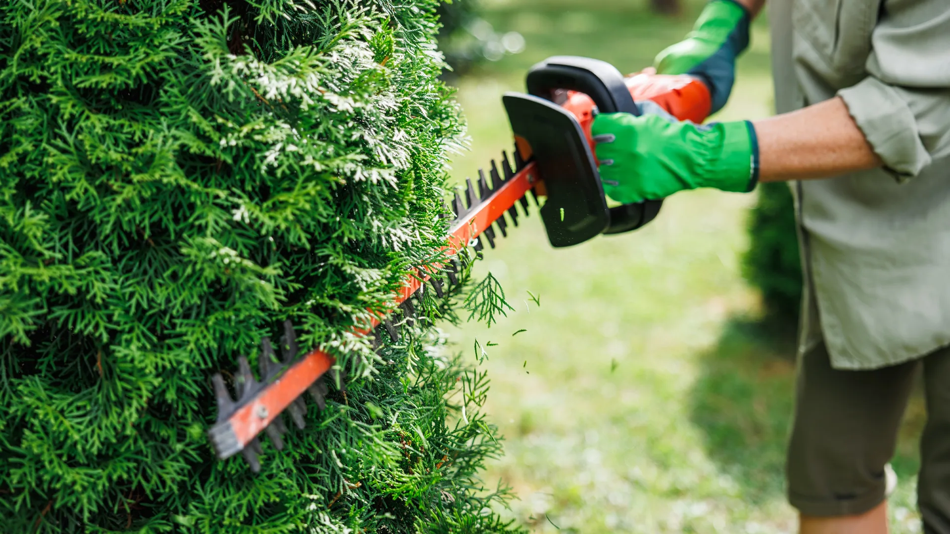 Paysagiste et entretien des espaces verts autour de Saint-Quentin