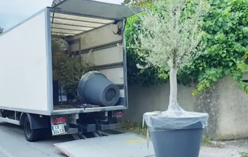 0TSKKF3zp8QSqtGUYaR8JvQZFObTul0Qq9HbGqJ8