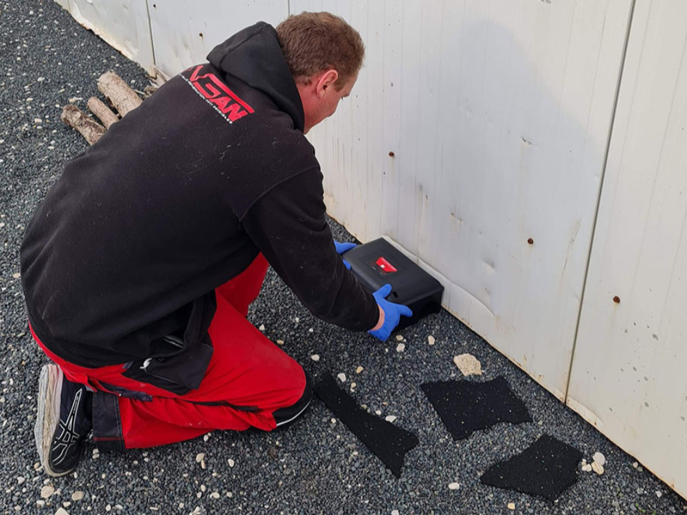 Lutte contre nuisibles en PACA et Grand-Est