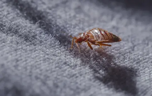 1opOntheU80c5IpiPU7ZhmoPRUAjNJv477dYD00U