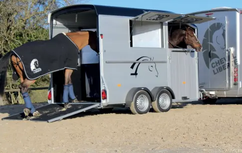 20200831-MAXI2-attele-chevaux_1-scaled