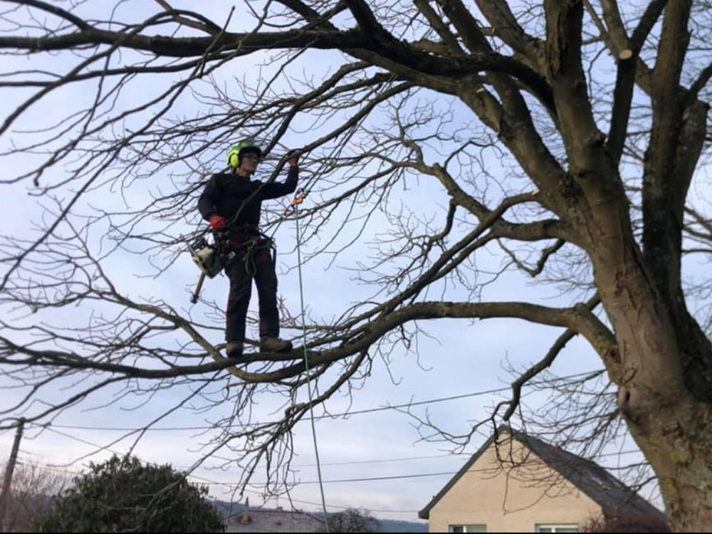 Paysagiste et entretien à Meurthe-et-Moselle