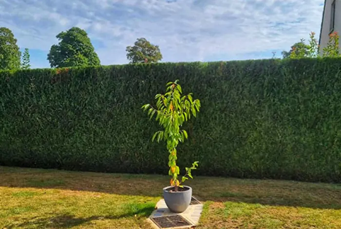 Maçonnerie et aménagement paysager proche de Rethel