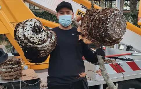 KOSMOS SOLUTIONS ANTI - NUISIBLES