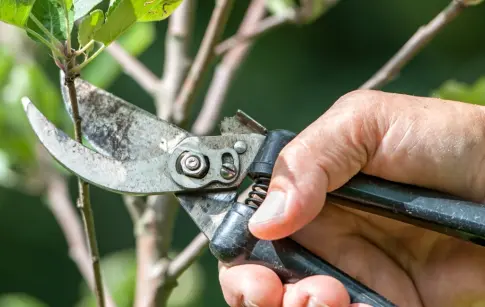 natura-creation-entretien-2