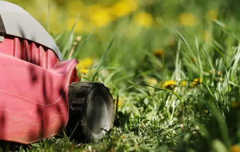 natura-creation-entretien-1