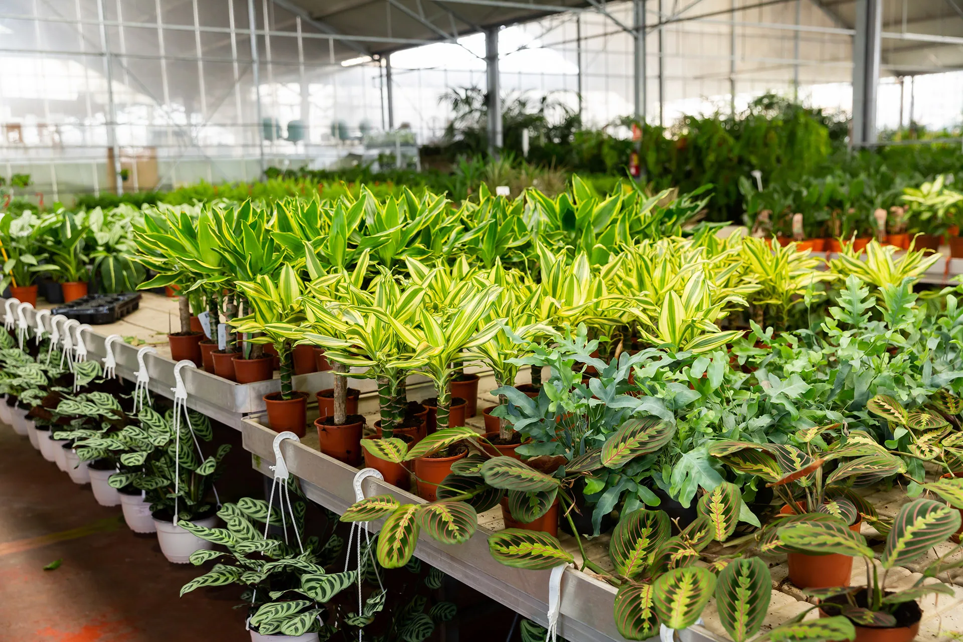 Magasins de jardinage et animalerie à Aisne