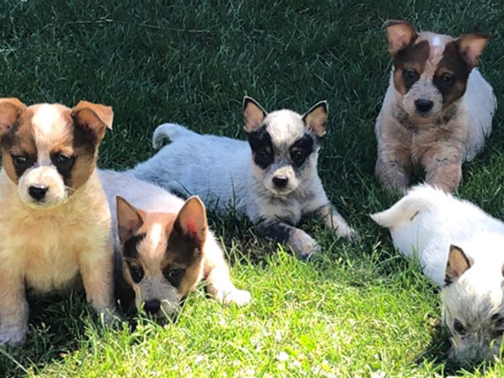 Entreprise Agriculture Marly