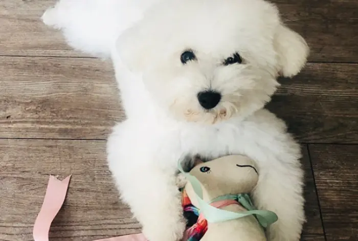 Entreprise Agriculture Marly