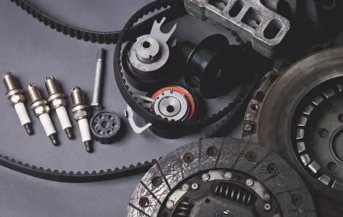 shutterstock_567558253